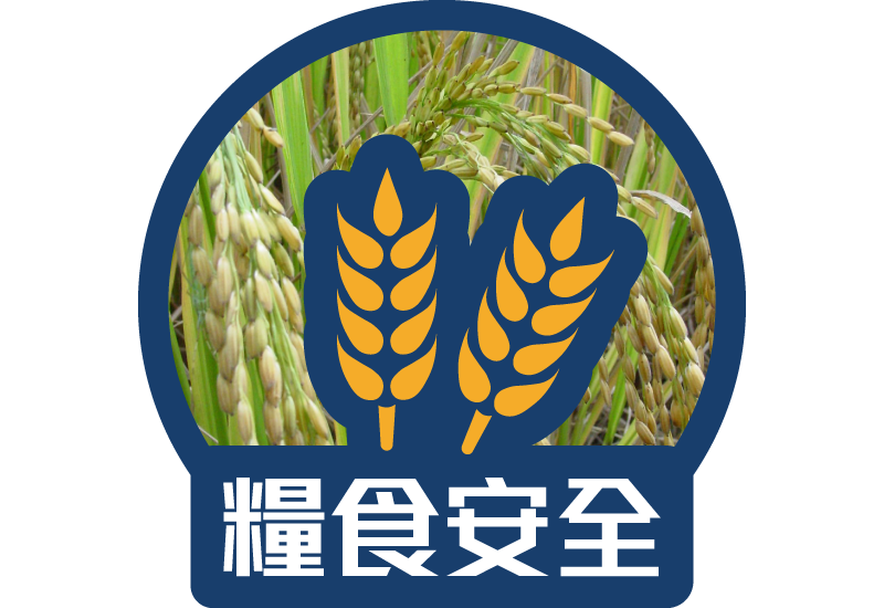 糧食安全